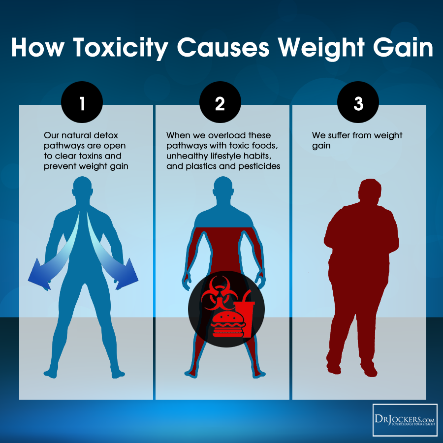 Cleansing_ToxicityWeightGain