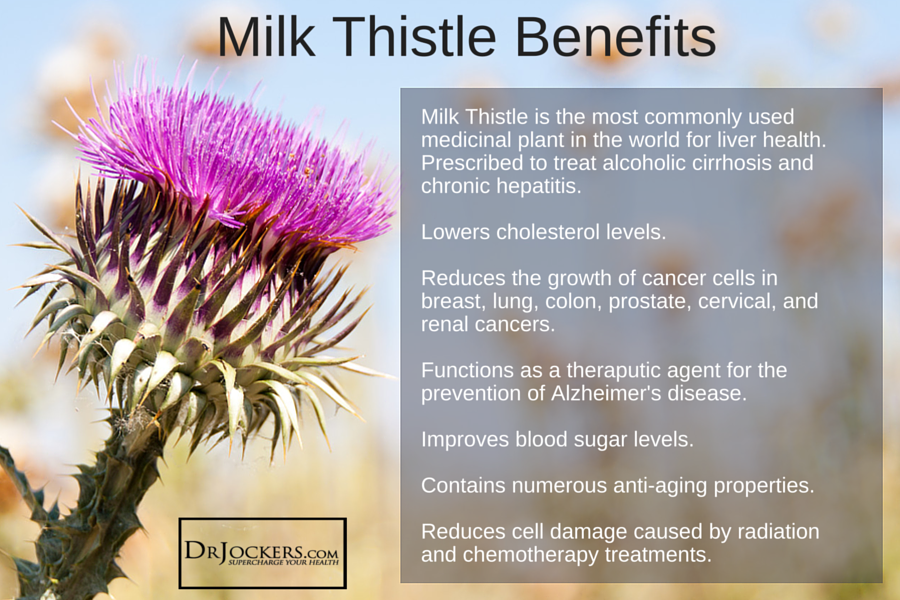 Milk-Thistle-Benefits (1)